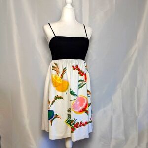 Zara Women's Medium Dress with Spaghetti Straps Fruit Design